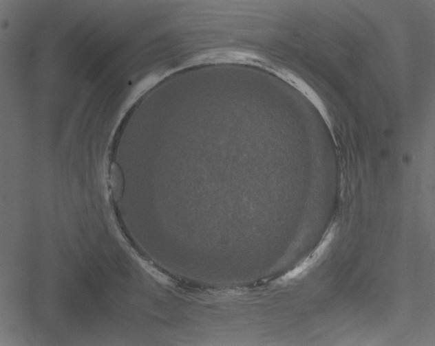 X0000051240997200506171105