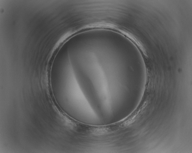 X0000051240998200506171105