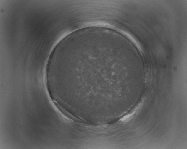 X0000051240999200506171105