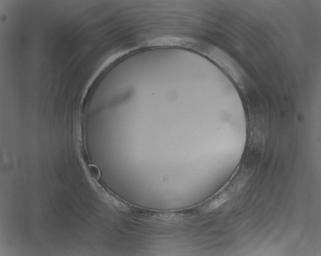 X0000051241000200506171105