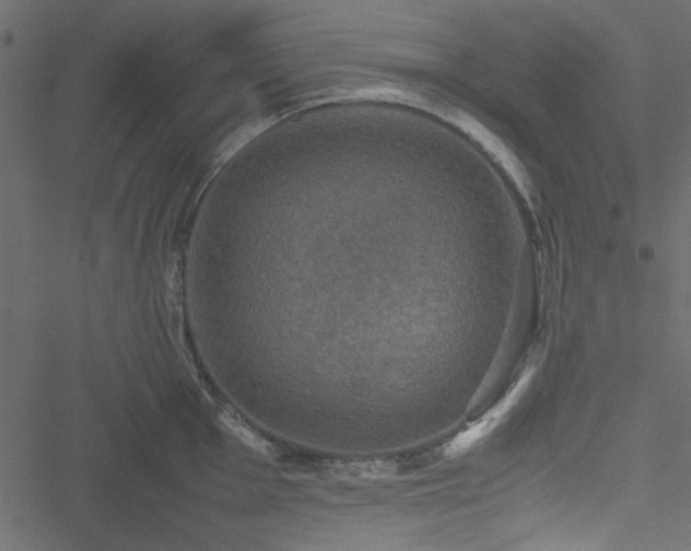 X0000051241001200506171105