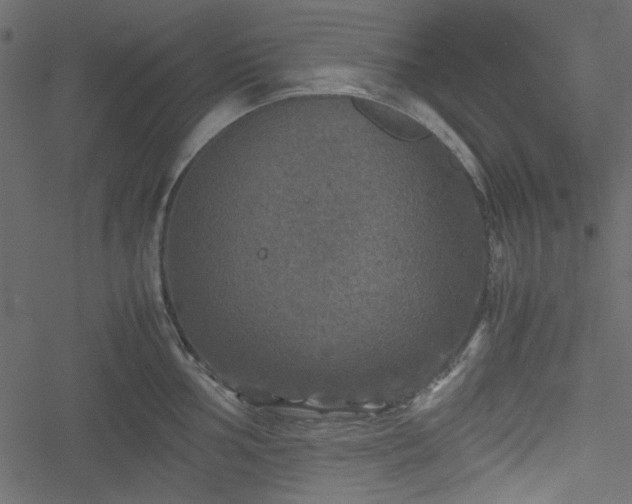 X0000051241002200506171105