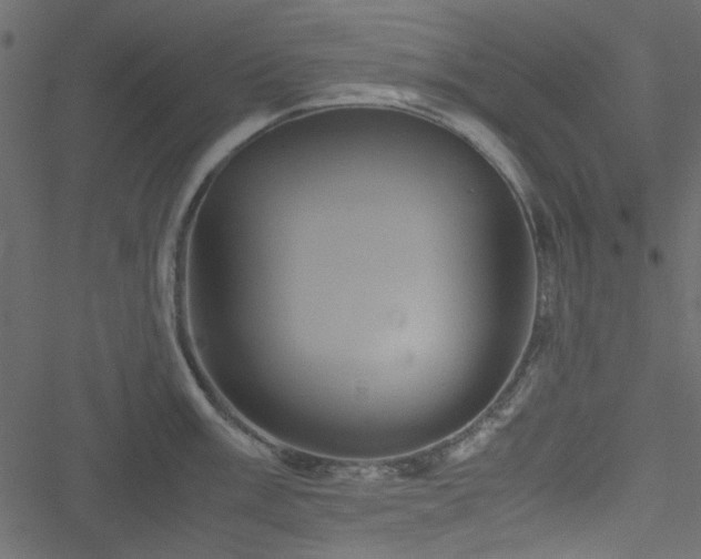 X0000051241003200506171105