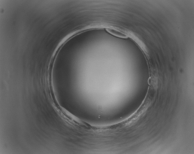 X0000051241004200506171105