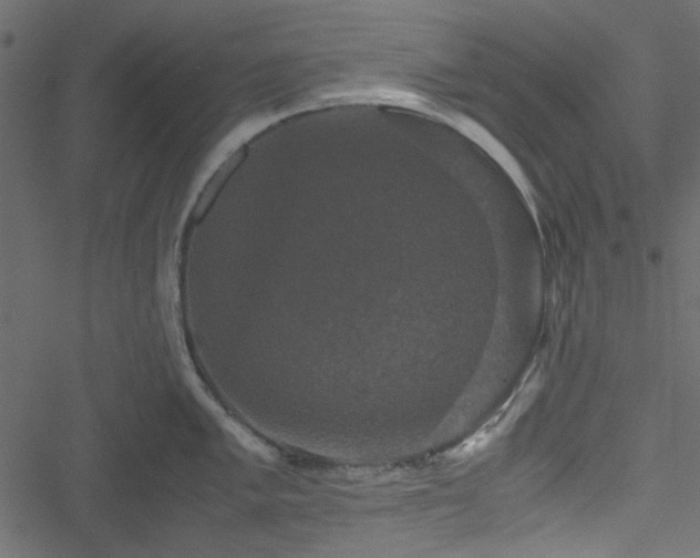 X0000051241005200506171105