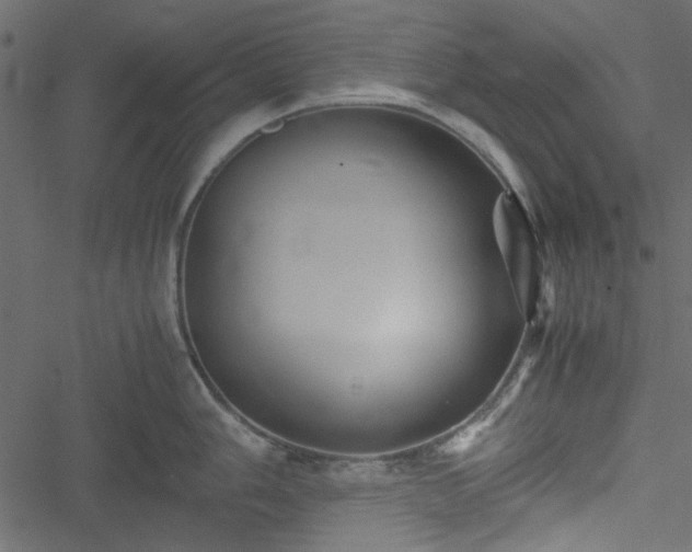 X0000051241006200506171105