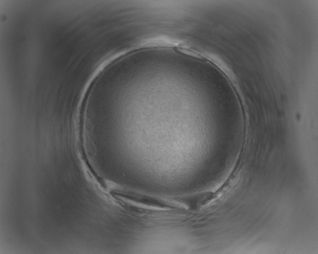 X0000051241008200506171105