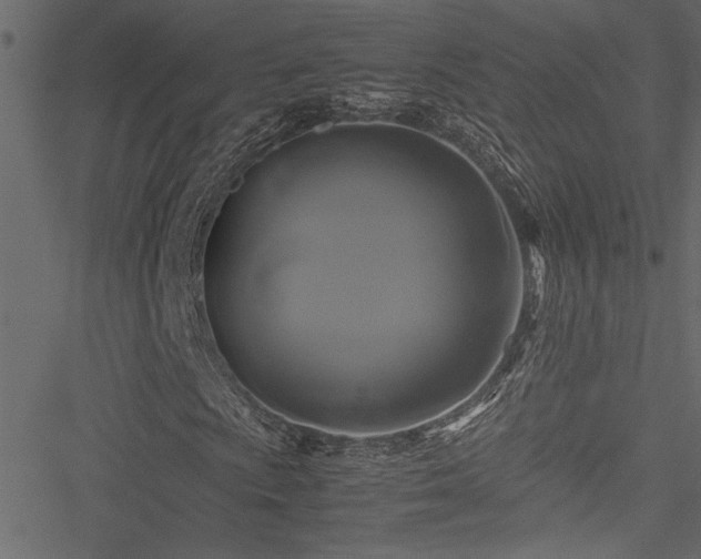 X0000051241009200506171104