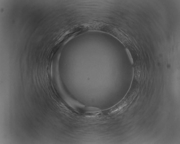 X0000051241010200506171104