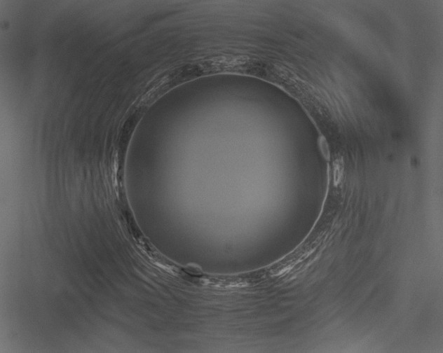 X0000051241011200506171105