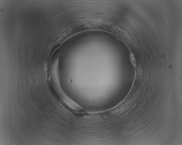 X0000051241012200506171105