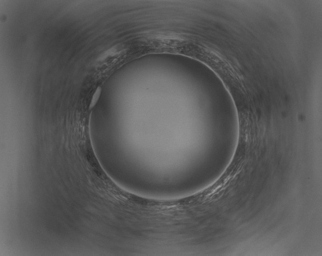 X0000051241013200506171105