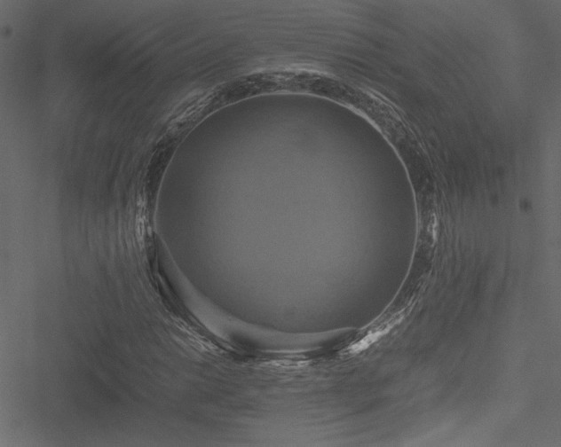 X0000051241014200506171105