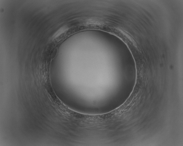 X0000051241015200506171105