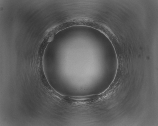 X0000051241016200506171105