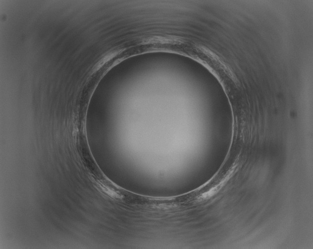 X0000051241017200506171105