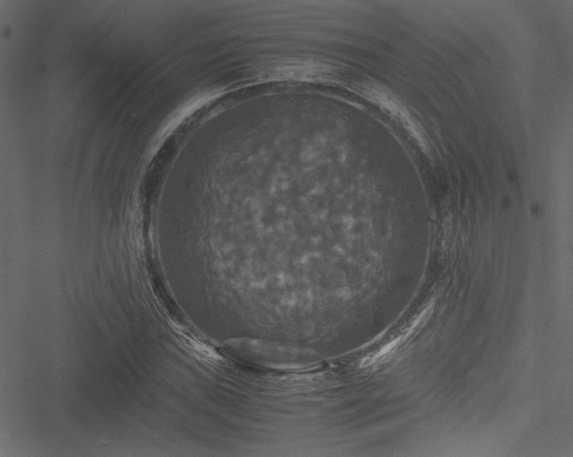 X0000051241019200506171105