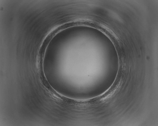 X0000051241021200506171105