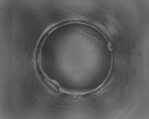 X0000051241024200506171105