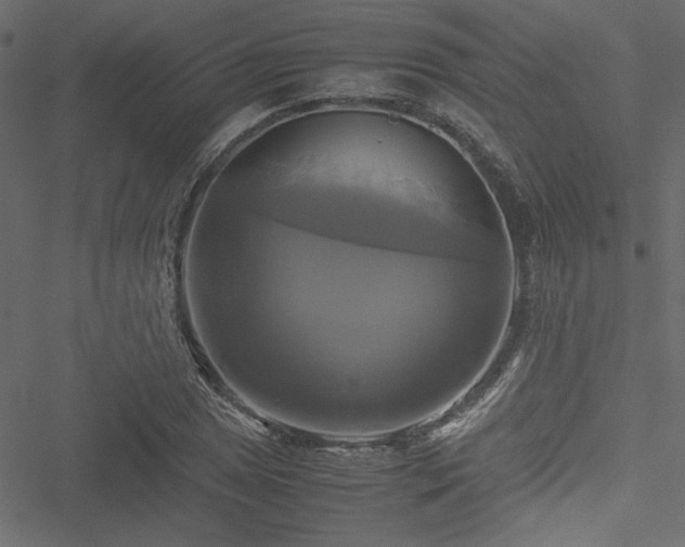 X0000051241025200506171105