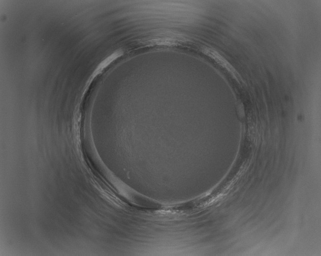 X0000051241026200506171105