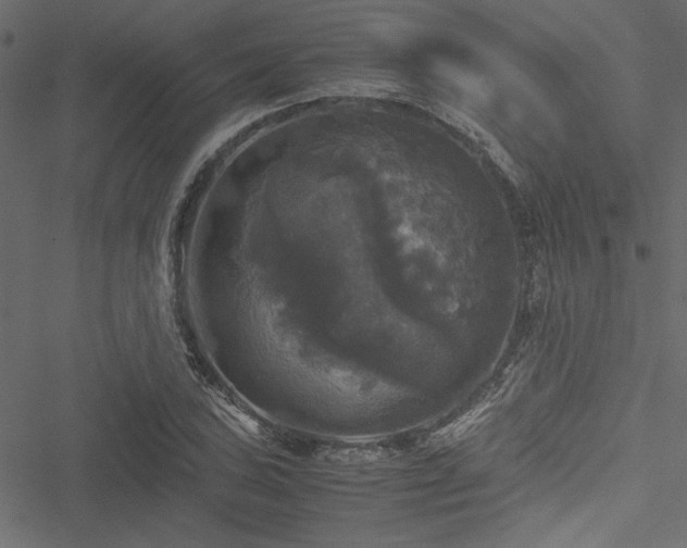 X0000051241027200506171105