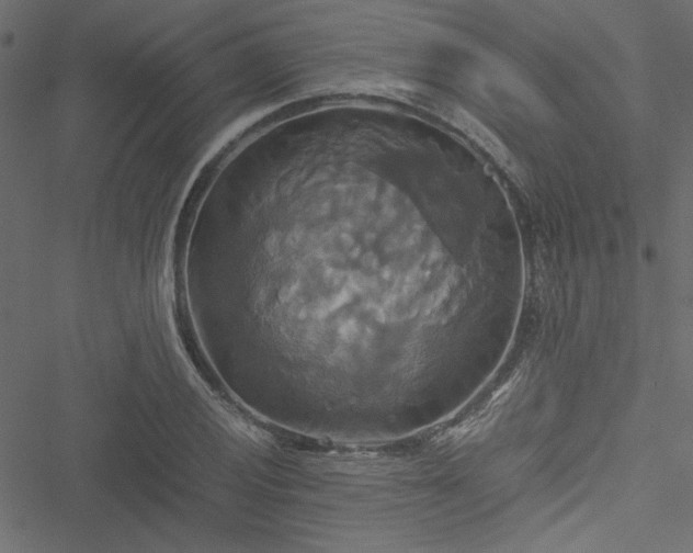 X0000051241028200506171105