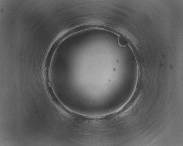 X0000051241029200506171105