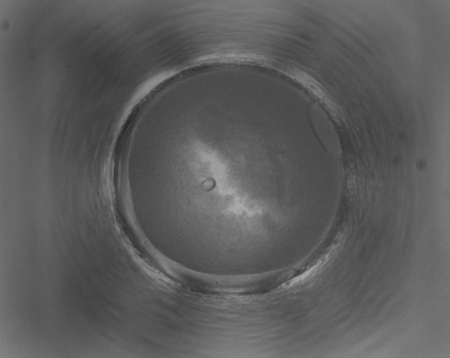 X0000051241030200506171105