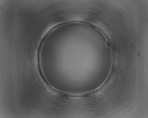 X0000051241031200506171105