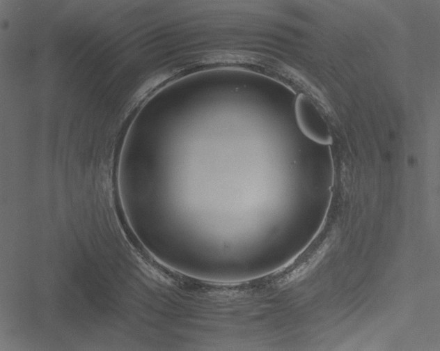 X0000051241033200506171105