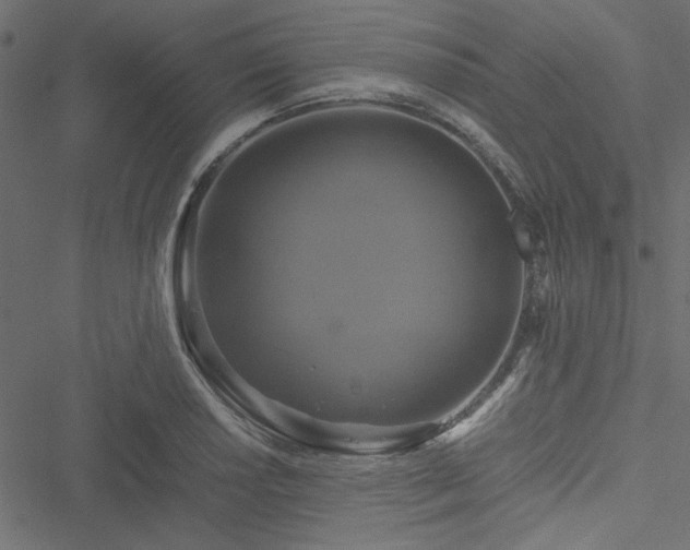 X0000051241034200506171105