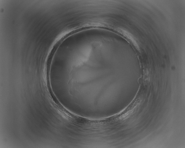 X0000051241035200506171105