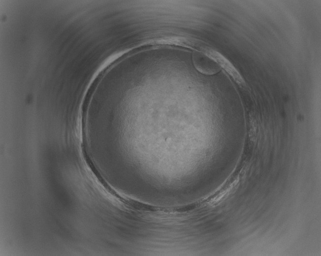 X0000051241036200506171105