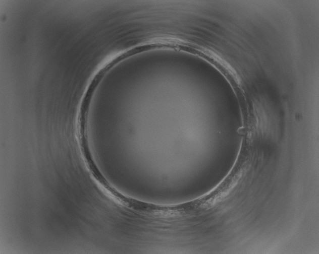 X0000051241037200506171105