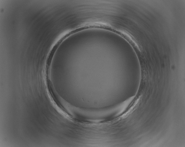 X0000051241038200506171105