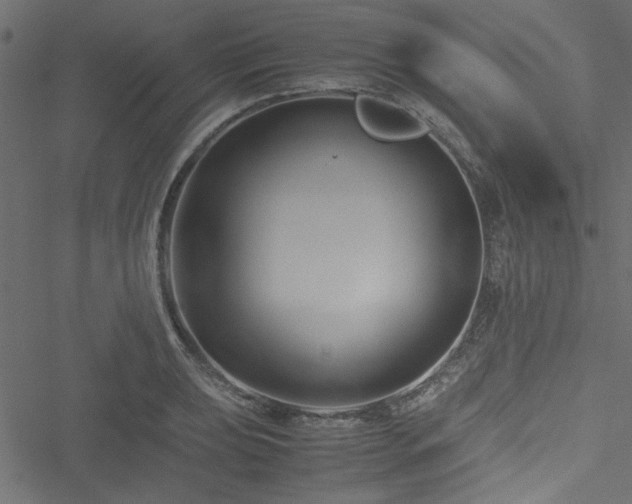 X0000051241039200506171105