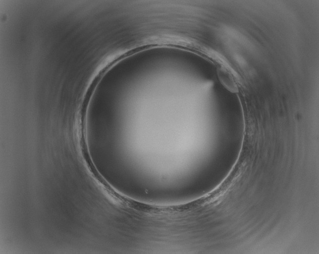 X0000051241040200506171105