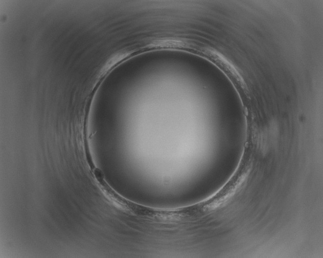 X0000051241041200506171105