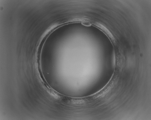 X0000051241043200506171105