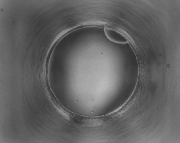 X0000051241044200506171105