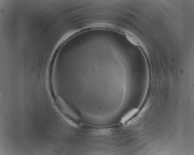 X0000051241045200506171105