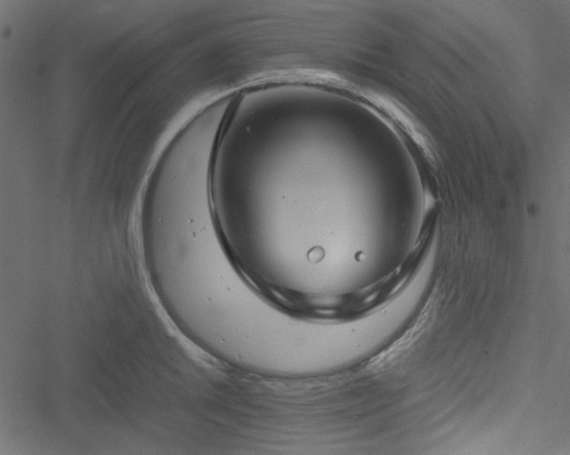 X0000051241046200506171105