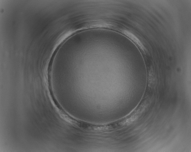 X0000051241047200506171105