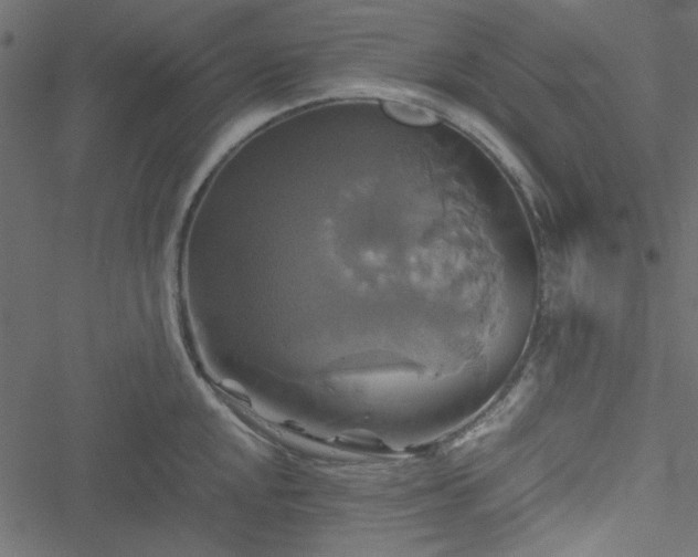 X0000051241048200506171105