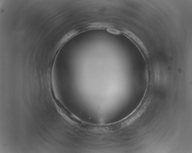 X0000051241049200506171105