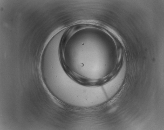 X0000051241050200506171105