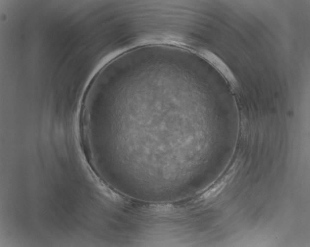 X0000051241052200506171105