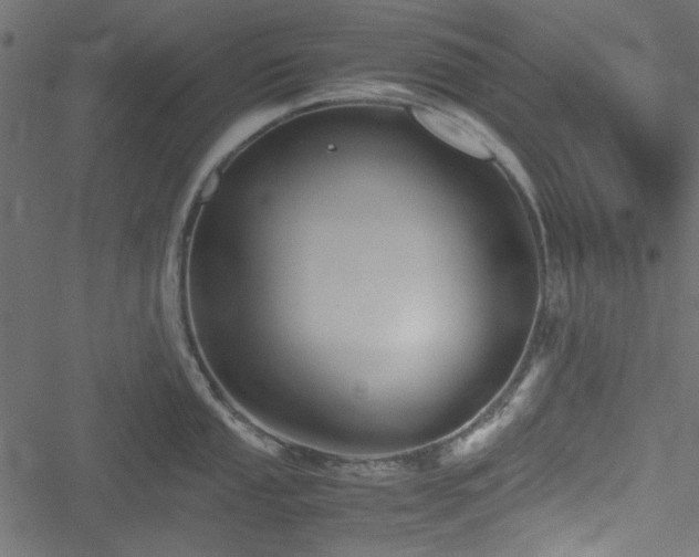 X0000051241053200506171105