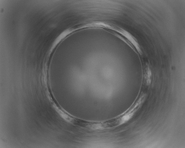 X0000051241054200506171105